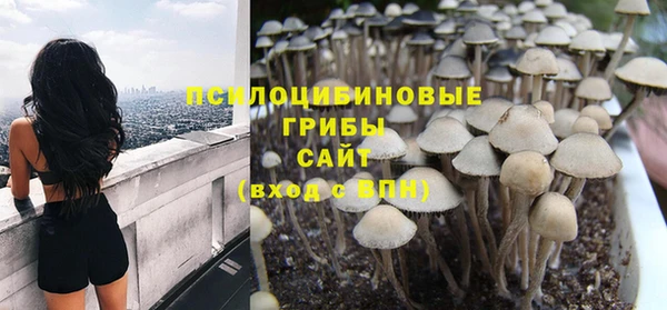 трава Аркадак