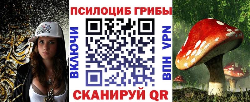 магазин продажи наркотиков  Поронайск  мориарти клад  Галлюциногенные грибы Magic Shrooms 